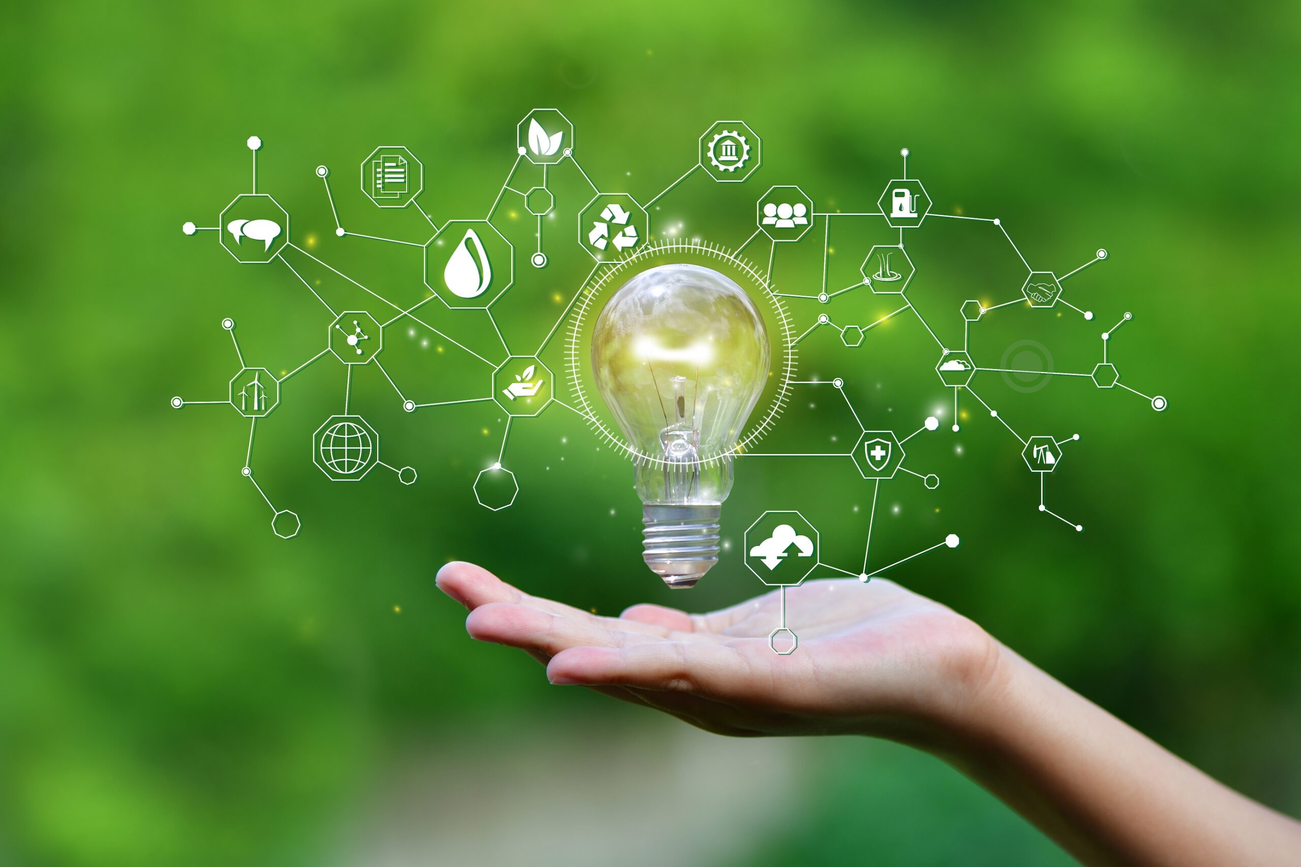 Rose477: The Impact On The Future